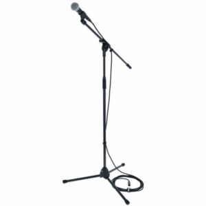 Micro : Shure SM58